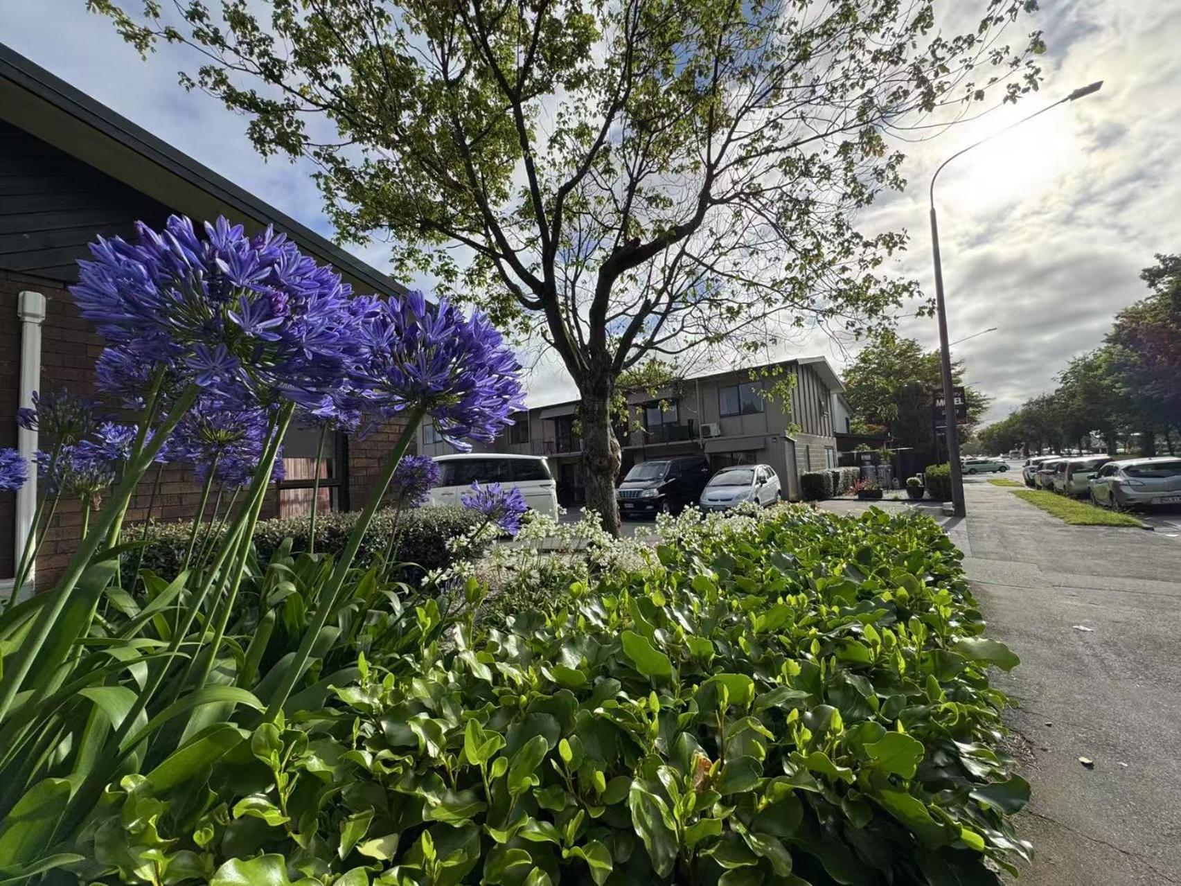 Abbey Motor alojamiento Christchurch Exterior foto